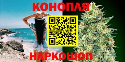 сатива Бузулук