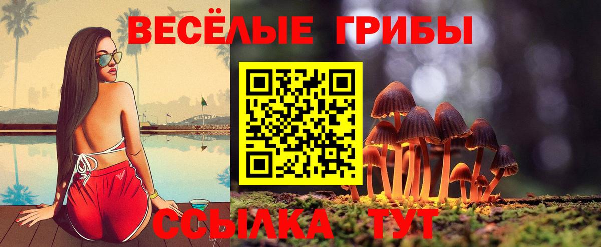 Новодвинск  Псилоцибиновые грибы Magic Shrooms  Вход с VPN 